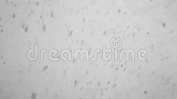 大雪冬季风暴背景视频的预览图