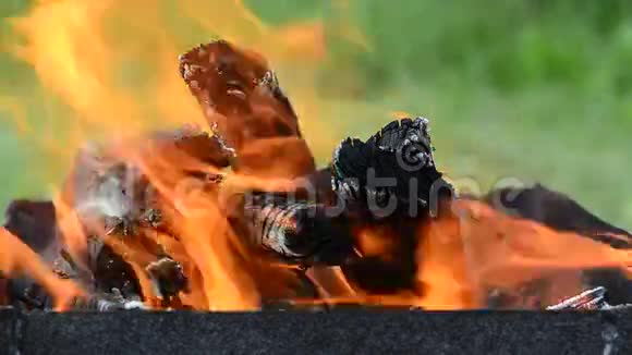 烧柴火火焰在烤架里燃烧消防特写视频的预览图