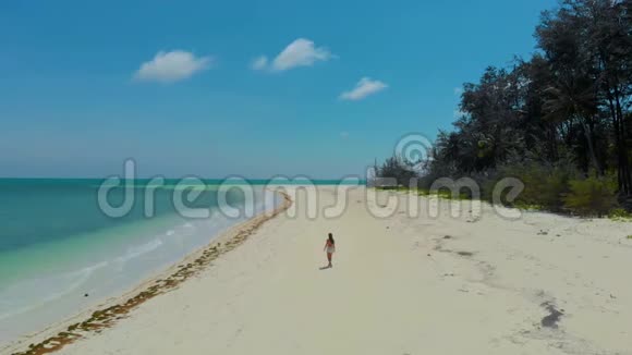 菲律宾一望无际的白色海滩上一个女人视频的预览图