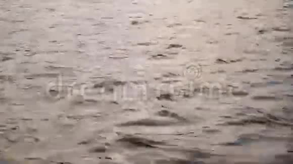池塘上有涟漪的水面视频的预览图