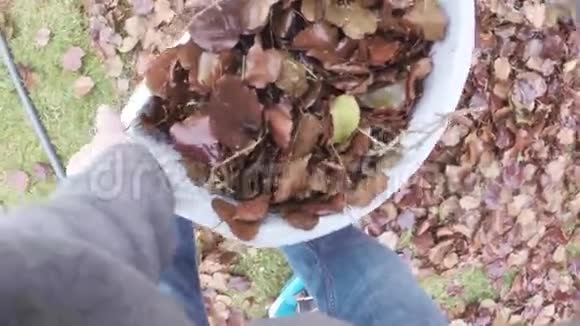 秋叶装垃圾袋视频的预览图