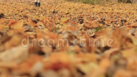 穿靴子和白色长袜的女人在秋天的叶子上特写慢动作视频的预览图