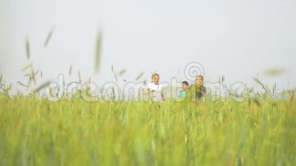 快乐的孩子们在夏天的田野里奔跑视频的预览图