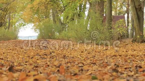 穿靴子和白色长袜的女人在秋天的叶子上特写慢动作视频的预览图