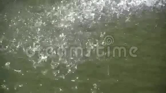 水在缓慢的运动中飞溅视频的预览图