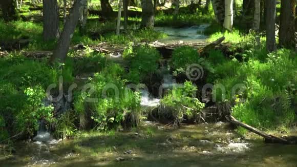 美丽的山溪干净的水慢镜头视频的预览图