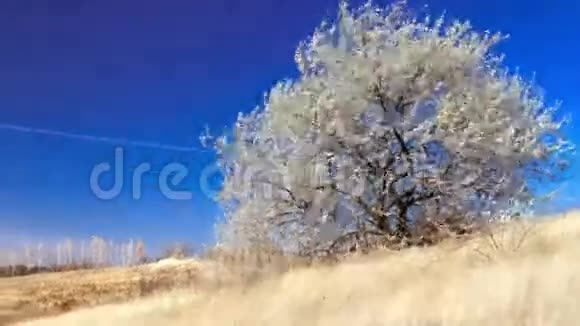 乌克兰草原的风视频的预览图