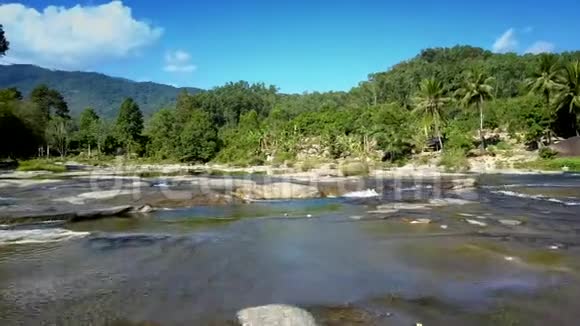 美丽的河流与强大的急流对抗野生丛林视频的预览图
