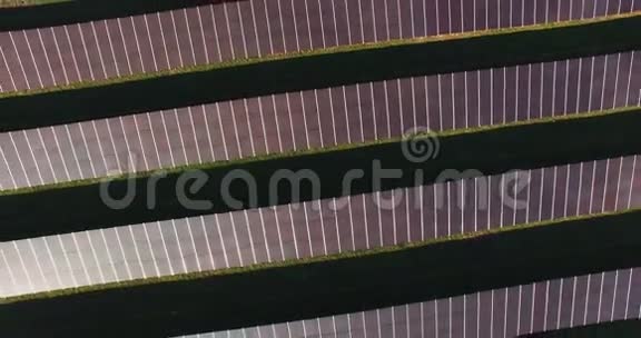 农村地区的太阳能电池视频的预览图