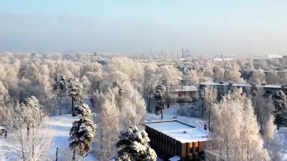 白霜覆盖着树木城冬晨全景视频的预览图