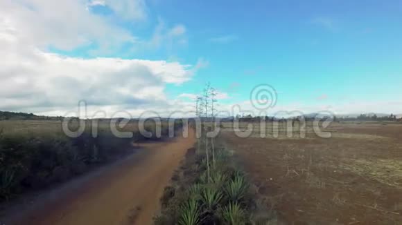狭窄的非洲乡村土路背景是农田和农场视频的预览图