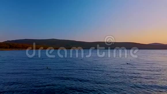 野鸭在美丽的日落背景下从水中起飞视频的预览图