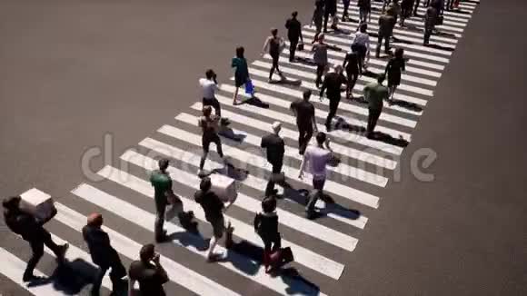 人们走斑马线伟大的设计为任何目的行人标志行人过街顶部视图视频的预览图