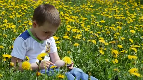 一个快乐的孩子和他的家人在蒲公英的春天的小路上一个带着手机的小男孩坐在绿色的草地上上面有黄色的视频的预览图