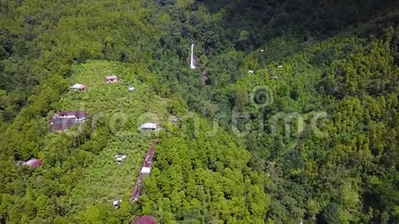 Gitgit瀑布热带森林的鸟瞰图视频的预览图