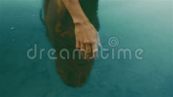 一只脆弱的白女人的手浸没在宁静的塞内维尔山的碧水中周围环绕着许多小鱼视频的预览图