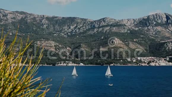 一艘帆船在美丽的亚得里亚海的地平线上视频的预览图