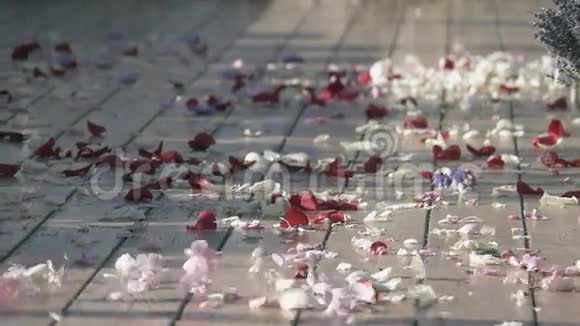 风在街道上卷起美丽的玫瑰花瓣又白又红夏日阳光明媚冷色调视频的预览图