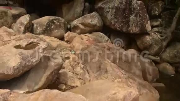 公园里的大棕色巨石阵视频的预览图