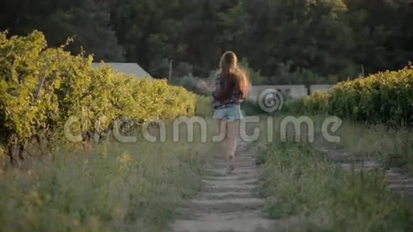 穿着短裤和衬衫的女孩走在葡萄园里视频的预览图