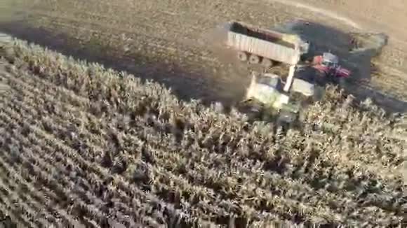 田间收获小麦的空中射击视频的预览图