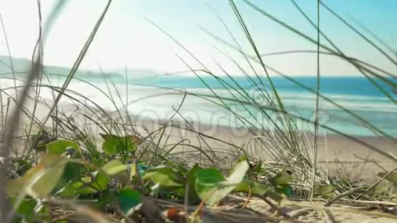 大西洋沿岸的沙质景观美丽的碧水和顶天立地的太阳视频的预览图