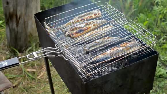 鲭鱼在煤上烹饪视频的预览图