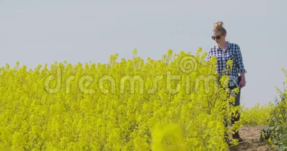 农民检查油菜开花植物视频的预览图