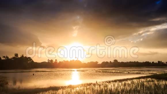 太阳落山时云后的阳光照耀着稻田视频的预览图