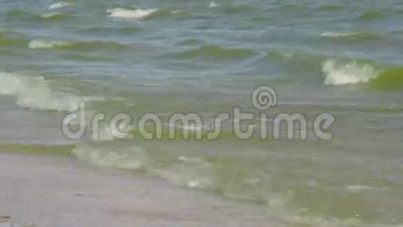 沿海阿佐夫海波视频的预览图