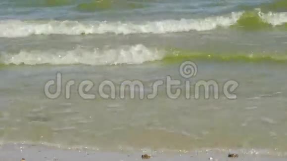 沿海阿佐夫海波视频的预览图