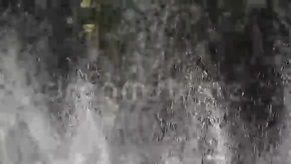 草地喷水在树林中阳光雨在草坪背景液滴背景视频的预览图