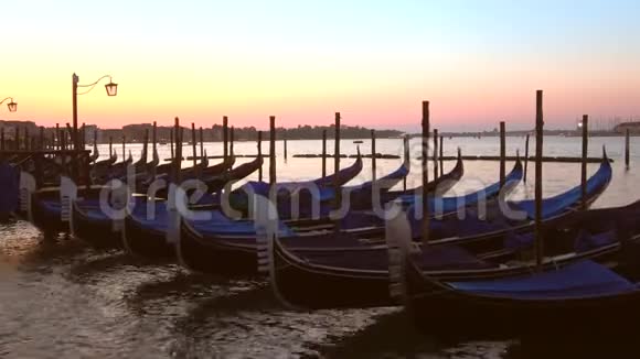 莫德古拉斯清晨意大利威尼斯视频的预览图