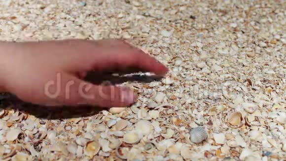 一个男人的手在海滩上拿贝壳视频的预览图