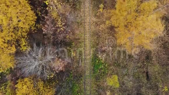 飞过穿过森林的铁路秋天空中观景4K视频的预览图