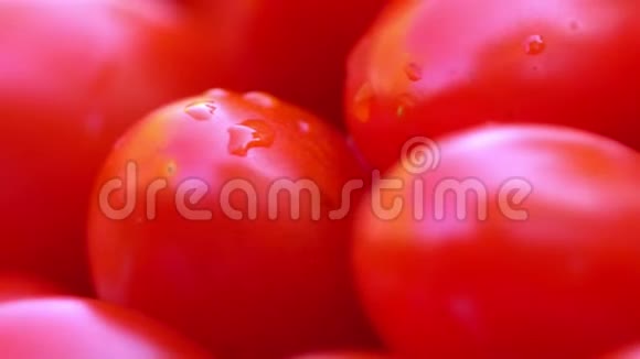 收获西红柿旋转桌子上有很多西红柿4K视频的预览图