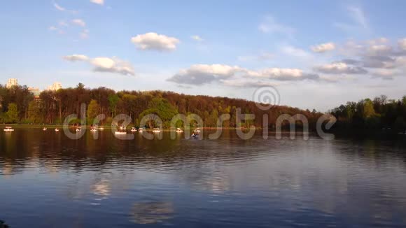 美丽的湖景公园里有船和鱼视频的预览图
