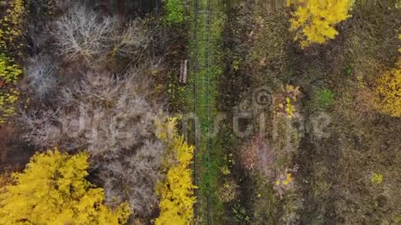 飞过穿过森林的铁路秋天空中观景4K视频的预览图