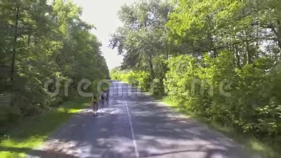 徒步旅行者在森林道路上进行夏季锻炼视频的预览图