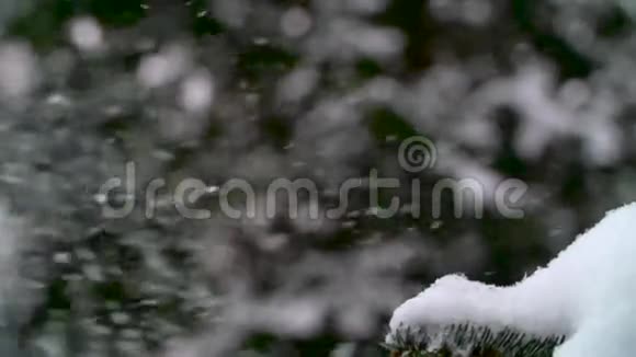 冬季景观特写慢镜头雪视频的预览图