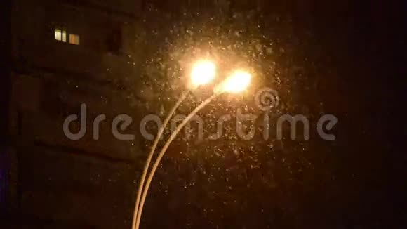夜间冬季路灯降雪视频的预览图