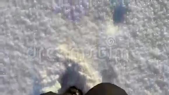 人们在雪地上行走然后抬起头视频的预览图