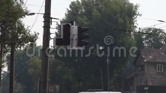 十字路口的红绿灯视频的预览图