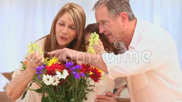 一家人在花瓶里放花视频的预览图