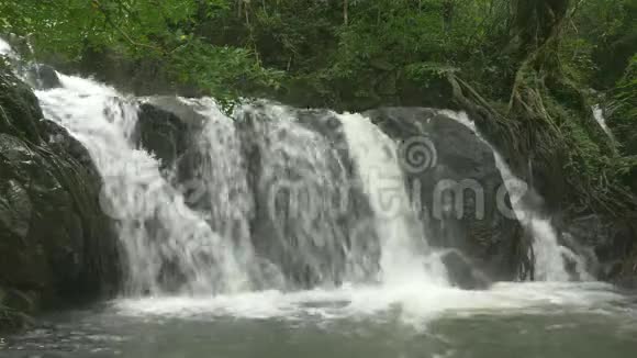 热带森林中流淌的小瀑布视频的预览图