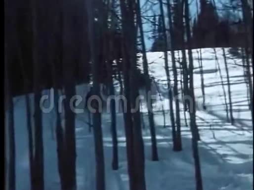 人们在长满树木的斜坡上下雪视频的预览图