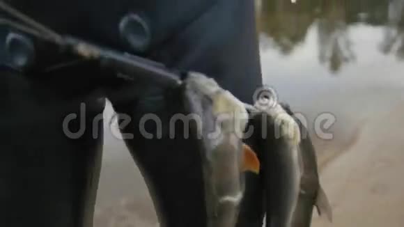 长矛渔民展示了水下渔民在森林河狩猎后带上的淡水鱼视频的预览图