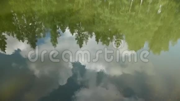 平静森林池塘的树木和天空反射视频的预览图