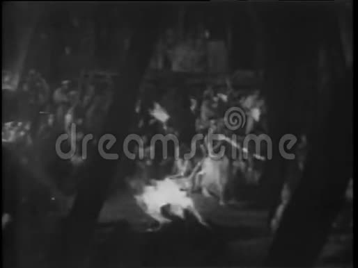广角观波利尼西亚动物仪式视频的预览图