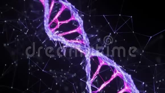 运动背景二进制数字屈膝DNA链4k环粉紫色视频的预览图